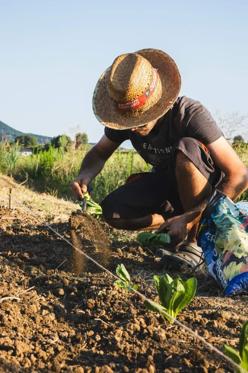 La importancia del riego eficiente en los cultivos